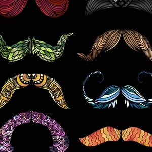 Meet your Posher, Stella